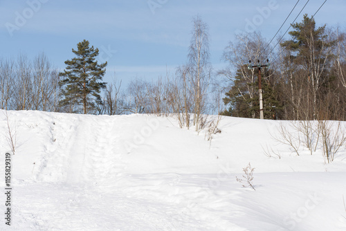 Wallpaper Mural Snowy path leading uphill, bare trees and a clear blue sky create a serene winter landscape Torontodigital.ca