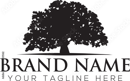 Oak tree logo, Property logo, Modern natural Oak wood symbol. Plant branch vector logo download for your company