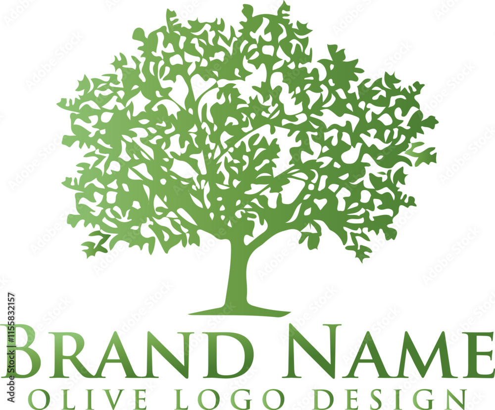 Obraz premium Olive Tree. Extra virgin olive oil symbol. Symbol of culture and Mediterranean food on white background
