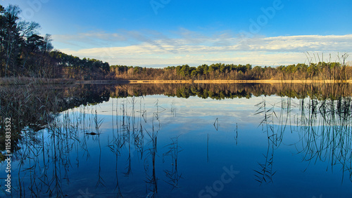 Fototapeta Naklejka Na Ścianę i Meble -  reflection in the lake