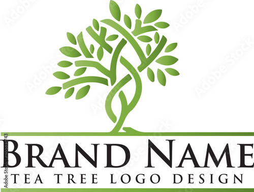 Unique natural bonsai tree logo design, abstract art tree vector silhouette