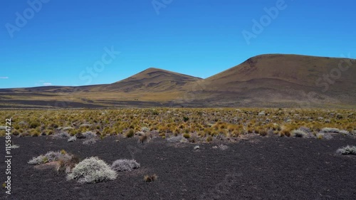 La Payunia Reserve in Malargue, Mendoza, Argentina  photo