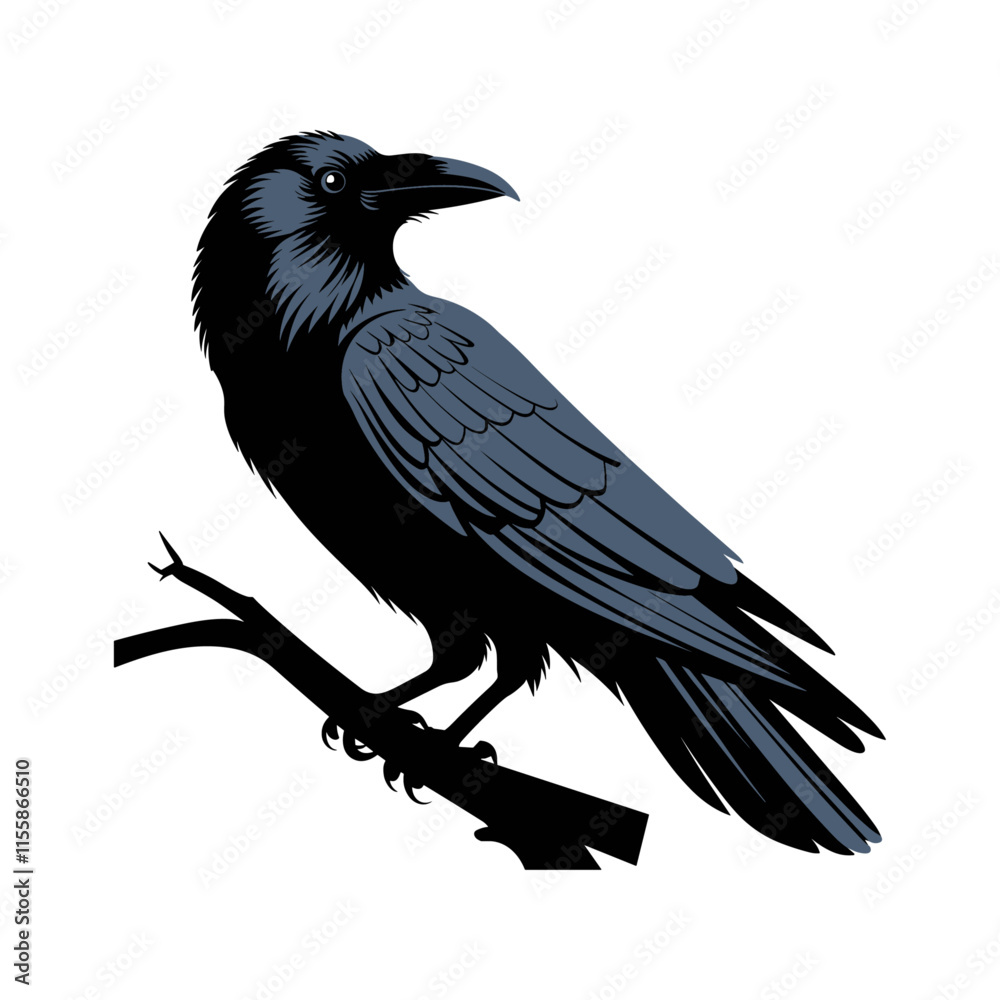 Fototapeta premium Black crow silhouette vector