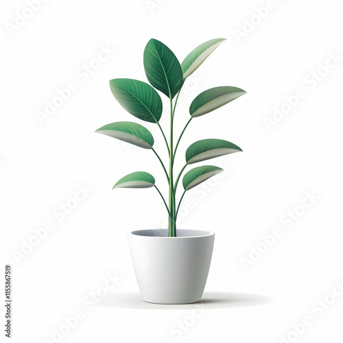 A simple, elegant minimalist plant