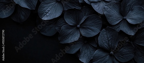 Black flowers on dark background creating a mysterious botanical scene with ample copyspace for text and design elements for creative use photo