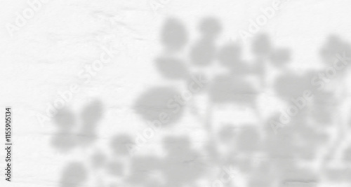 Glare from the sun's rays on the wall. Blurred shadows from leaves and plants in the room. Soft overlay of natural light. 