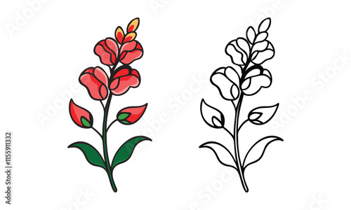 Snapdragon Flower in Color and Outline, Vector illustration of a snapdragon flower featuring a vibrant red design with green leaves and a minimalist black-and-white outline version.
