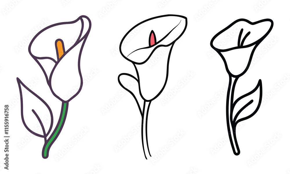 Elegant calla lily line art with colored accents, Three minimalist calla lily illustrations, including black-and-white line art and designs with subtle colored accents, showcasing graceful floral eleg Elegant calla lily line art with colored accents, Three minimalist calla lily illustrations, including black-and-white line art and designs with subtle colored accents, showcasing graceful floral eleg