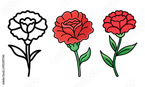 Red carnation illustrations with outline drawing, A trio of carnation designs featuring a black-and-white outline, a detailed red bloom, and a vibrant red flower with green leaves.
