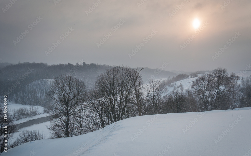 Walk over the river Sluch in the snowfall. Walk over the river Sluch in the snowfall.
