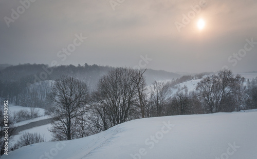 Walk over the river Sluch in the snowfall. photo