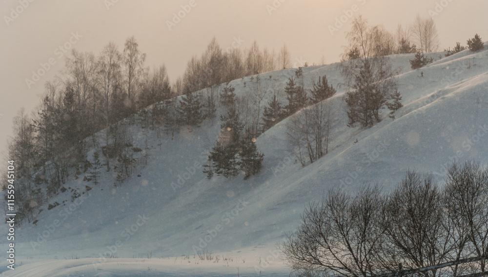 Walk over the river Sluch in the snowfall. Walk over the river Sluch in the snowfall.