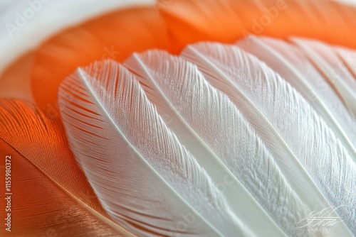 Delicate orange and white feather patterns on a soft fabric background photo