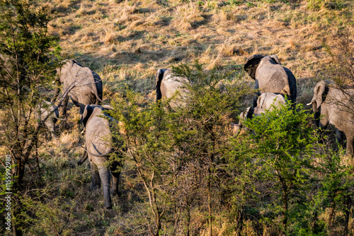 Ballonsafari in der Serengeti