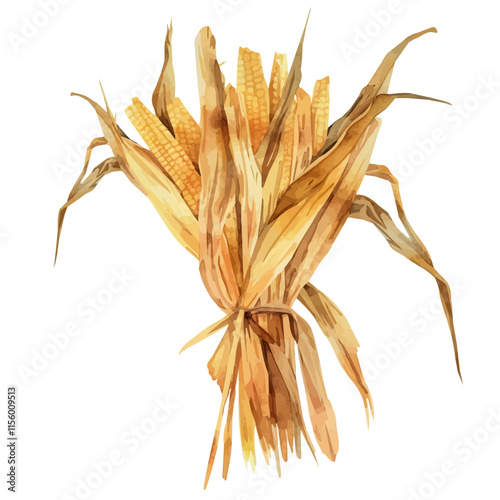 A watercolor vector of a freshly picked bundle of dried corn stalks, isolated on a white background. Corn stalks vector.
 photo