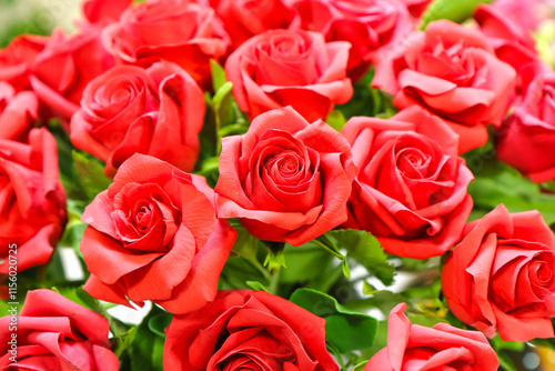 Original flowers made of polymer clay. The most realistic display. Soft focus. Close-up.