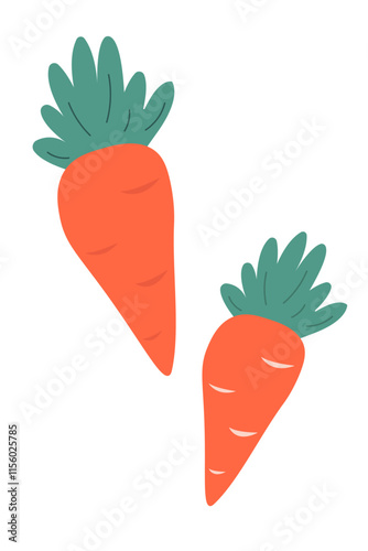 Set of two carrots in flat style