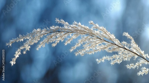 Frost-covered grass swaying gently in cool winter air