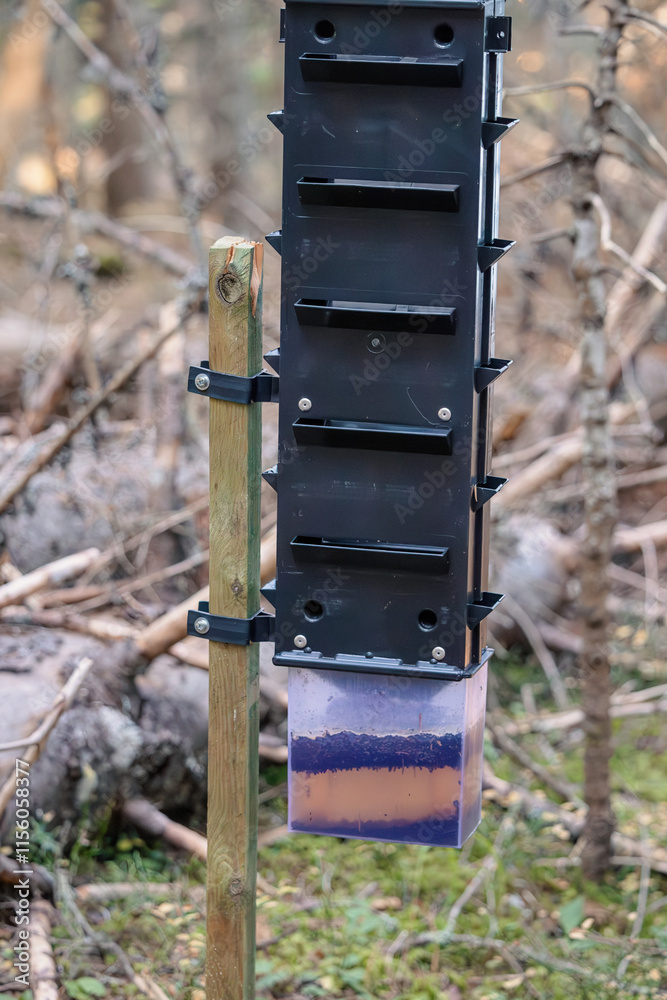 Close up of a bark beetle trap attached to a wooden post, showcasing its design and placement in a natural environment