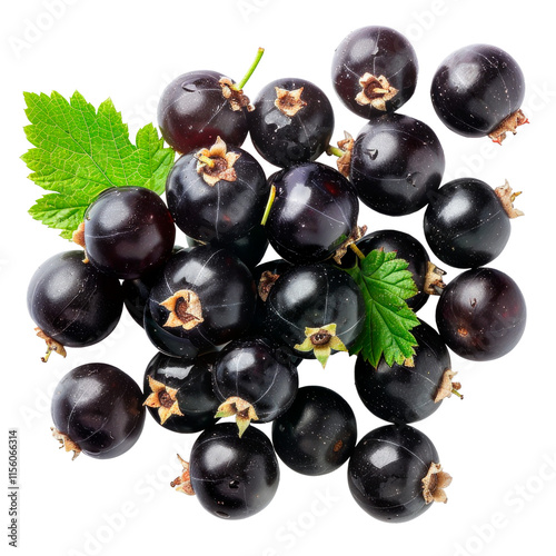 Blackcurrant berries. Isolated on transparent background.