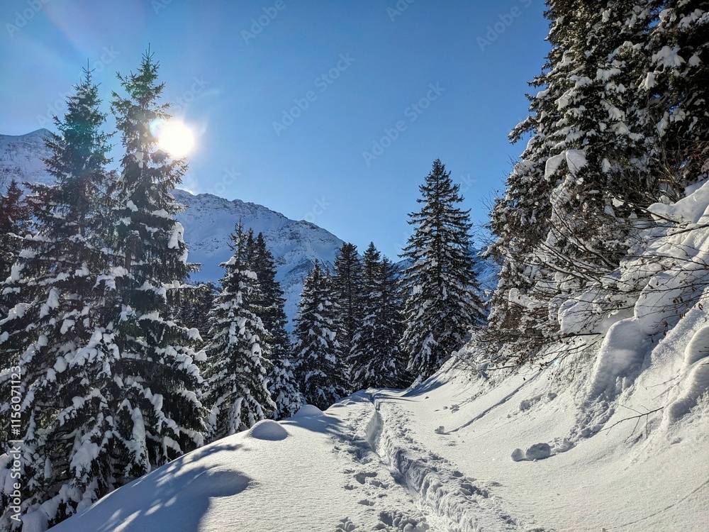 Φωτογραφία Ski tour through the snowy forest to the Fanenstock above Elm in the Glarus region