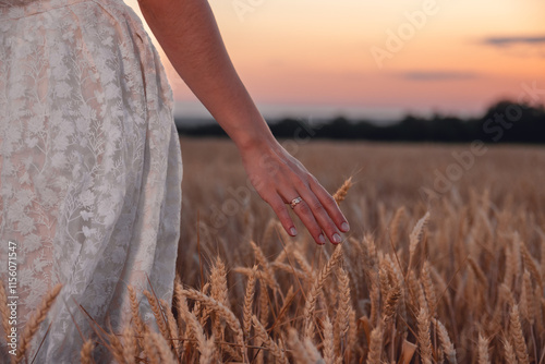 Close up of female hand moving over ripe wheat growing on the meadow at sunset  Young girl walking through the wheat field and stroking golden ears of crop.