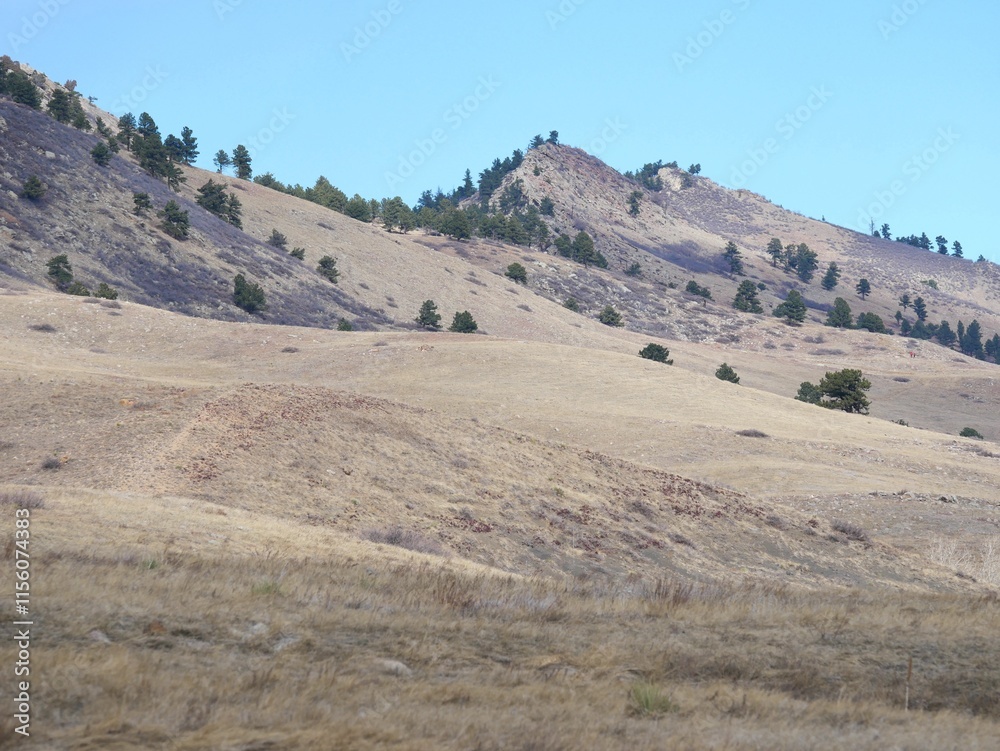 Winter dry prairie hills and pine trees, Colorado Winter dry prairie hills and pine trees, Colorado