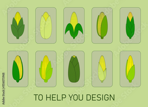 Set of vector illustrations of corn cobs. Design assistance. Flat design.
