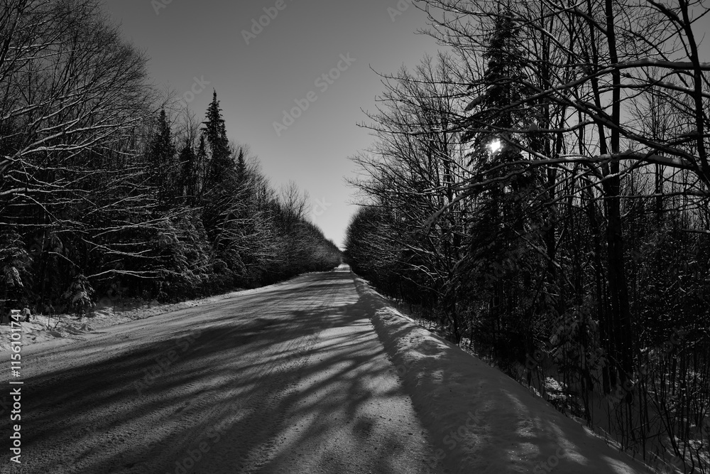 Obraz premium Forets Quebecoise