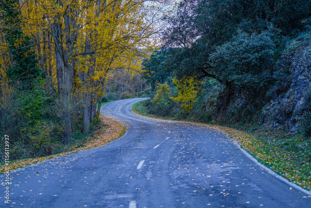 Fototapeta premium Mountain road with leaves in autumn