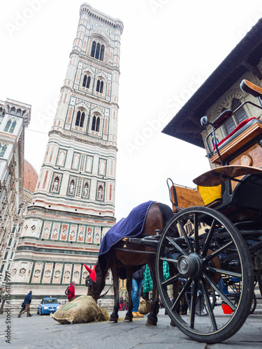 Horse and Carriage in Front of Giotto s Campanile, Florence