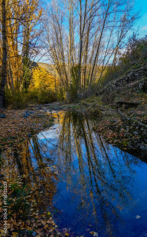 Obraz premium Reflections in the river with autumn colors