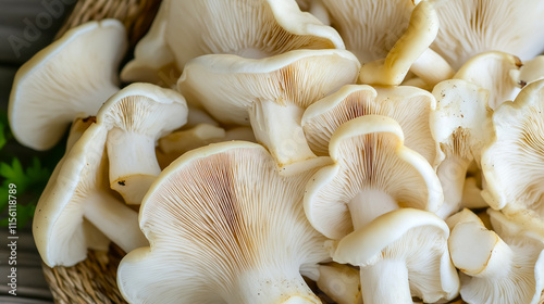 Close-up of white oyster mushrooms elegantly arranged on a rustic wooden table, showcasing their delicate textures and natural beauty