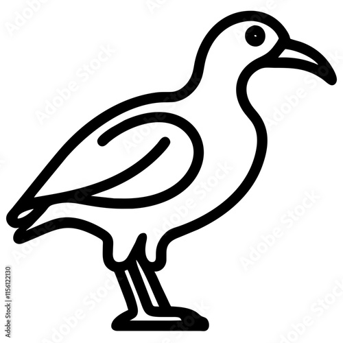 Seagull/Bird