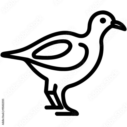 Seagull/Bird