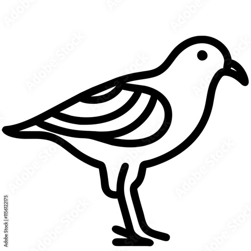 Seagull/Bird