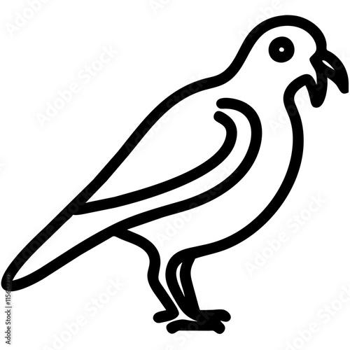 Seagull/Bird