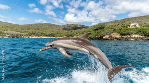 A striped dolphin leaps from the ocean near a tropical coastline under a bright sky. photo