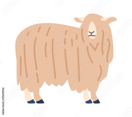 Lincoln sheep breed vector illustration