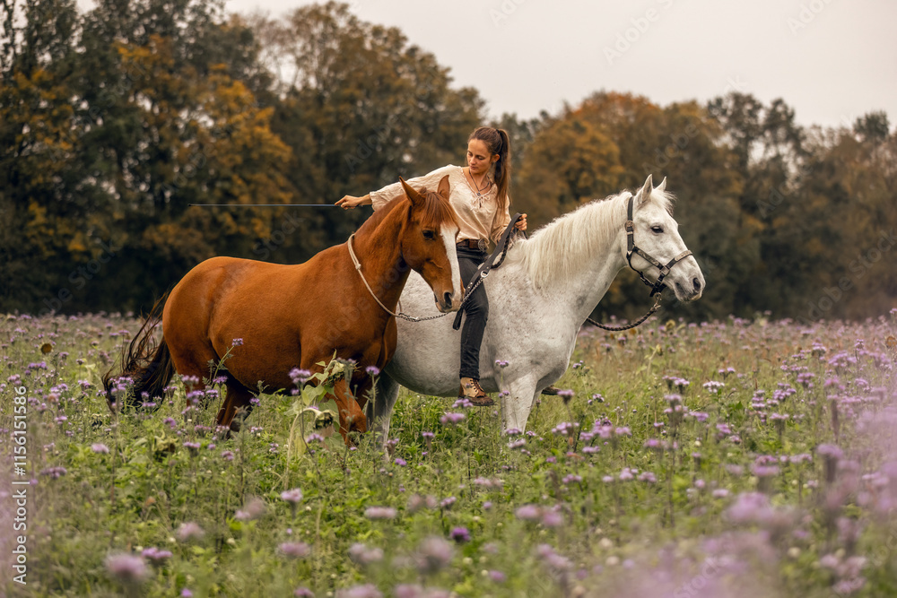 Horsemanship concept: A woman interacts with her two horses at a flower field in autumn outdoors Horsemanship concept: A woman interacts with her two horses at a flower field in autumn outdoors