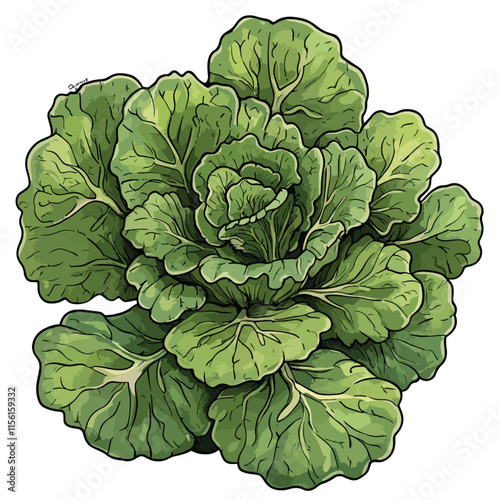 broccoli clip art, clip art concept