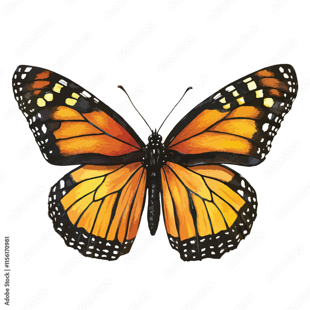 Fototapeta premium Butterfly clip art, clip art concept
