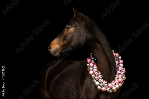 A bay brown warmblood horse mare in front of black background wearing a christmas bauble wreath photo