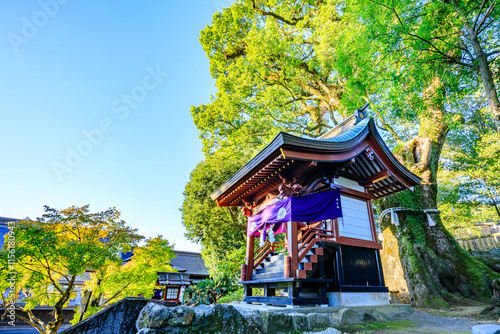 秋の鹿児島神宮　鹿児島県霧島市　Kagoshima Shrine in autumn. Kagoshima Pref. Kirishima City. photo