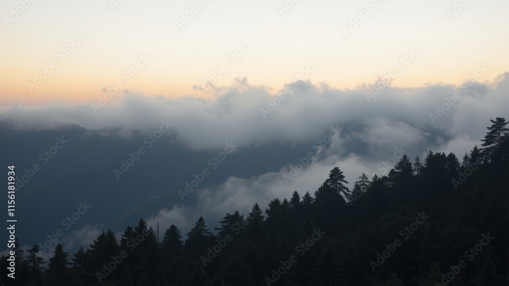 Obraz premium Misty Mountain Sunset: Serene Landscape of Pine Forest at Dusk