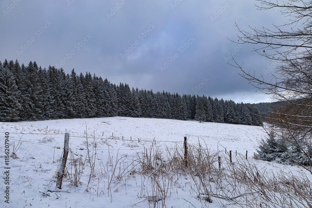 Wandern am Eisenberg, Thüringer Wald im Winter, Schmiedefeld am Rennsteig, Stadt Suhl, Thüringen, Deutschland Wandern am Eisenberg, Thüringer Wald im Winter, Schmiedefeld am Rennsteig, Stadt Suhl, Thüringen, Deutschland