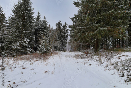 Wandern am Eisenberg, Thüringer Wald im Winter, Schmiedefeld am Rennsteig, Stadt Suhl, Thüringen, Deutschland photo