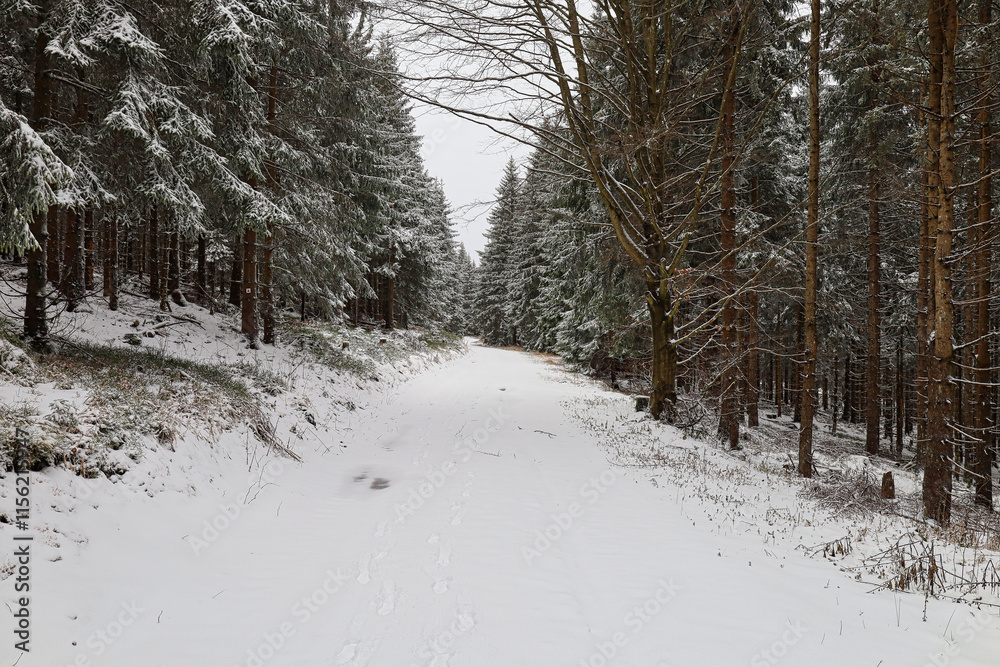 Wandern am Eisenberg, Thüringer Wald im Winter, Schmiedefeld am Rennsteig, Stadt Suhl, Thüringen, Deutschland Wandern am Eisenberg, Thüringer Wald im Winter, Schmiedefeld am Rennsteig, Stadt Suhl, Thüringen, Deutschland