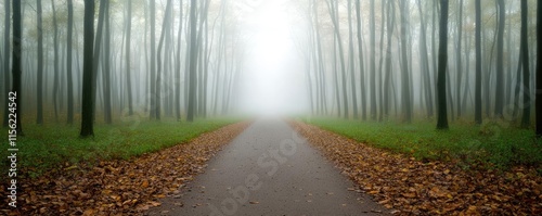 Mist forest concept. A serene path through a foggy forest, inviting exploration and tranquility in nature. photo