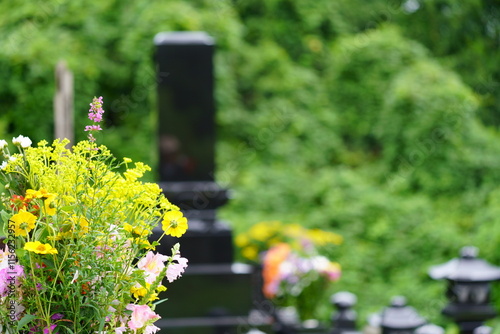 花が供えられたお墓　墓参りイメージ